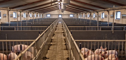 ELFORSK vinderprojekt slået af ebmpapst